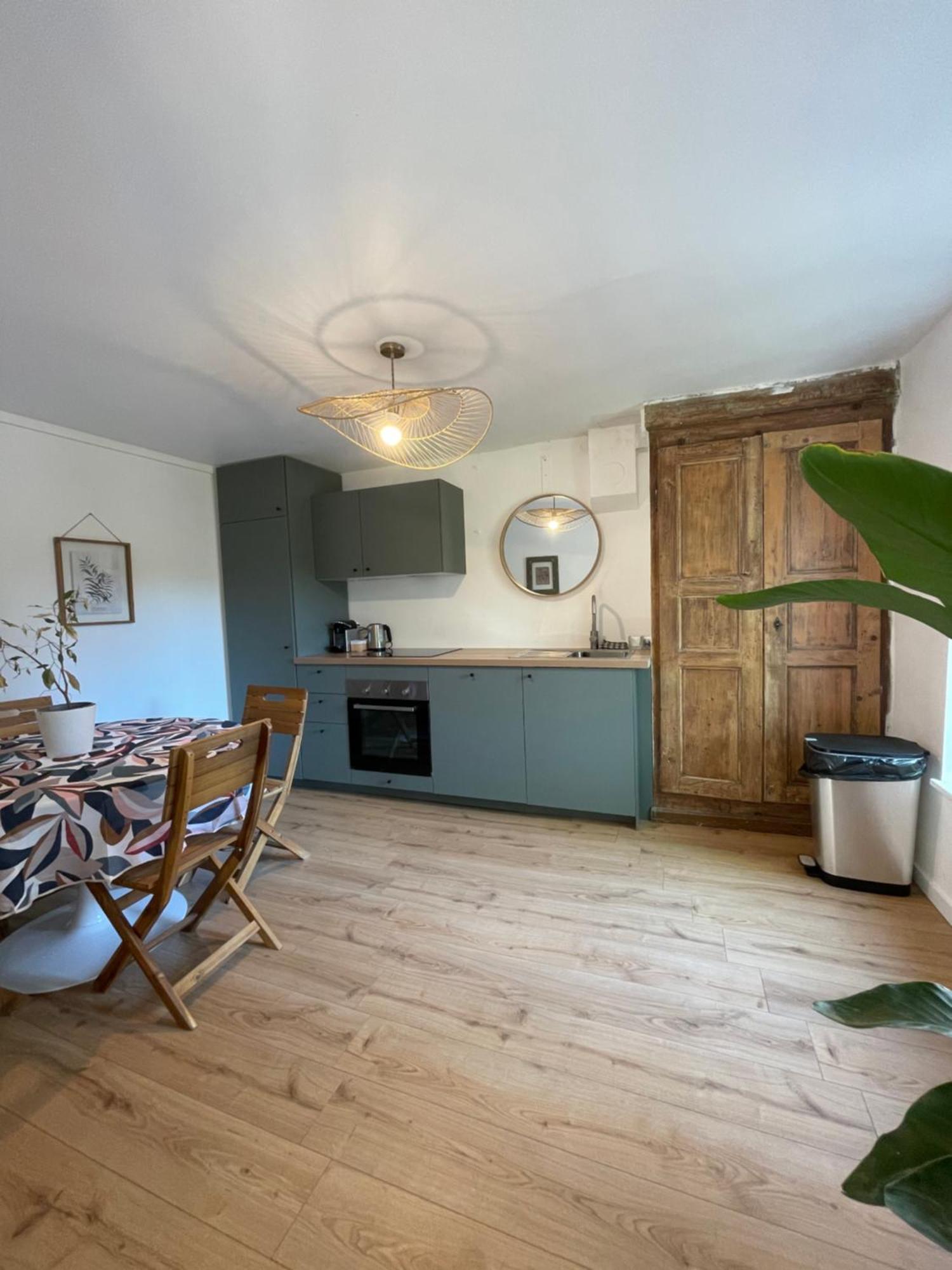 Charmante maison à Vienne avec jardin, prox Lyon Exterior foto