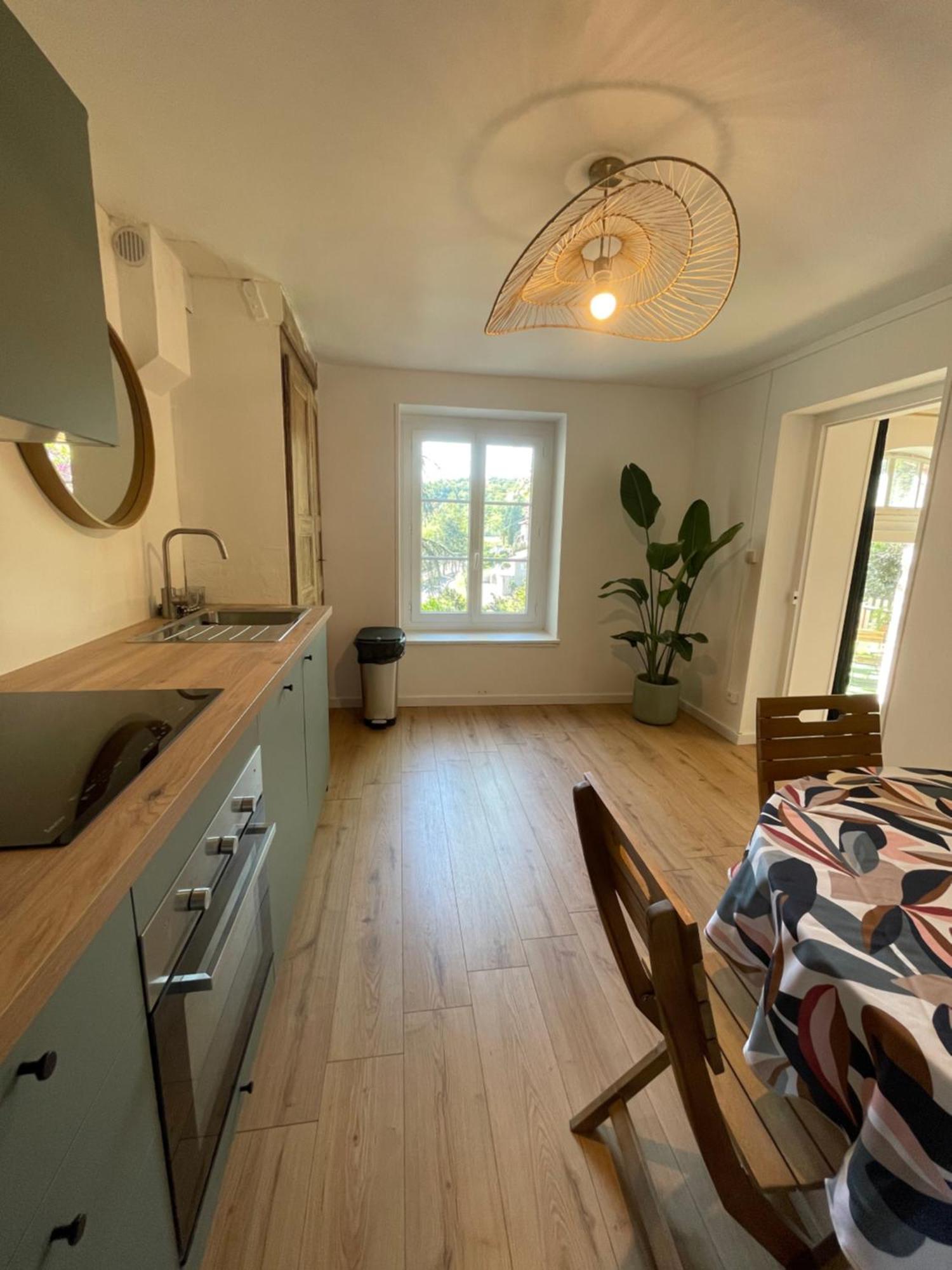 Charmante maison à Vienne avec jardin, prox Lyon Exterior foto