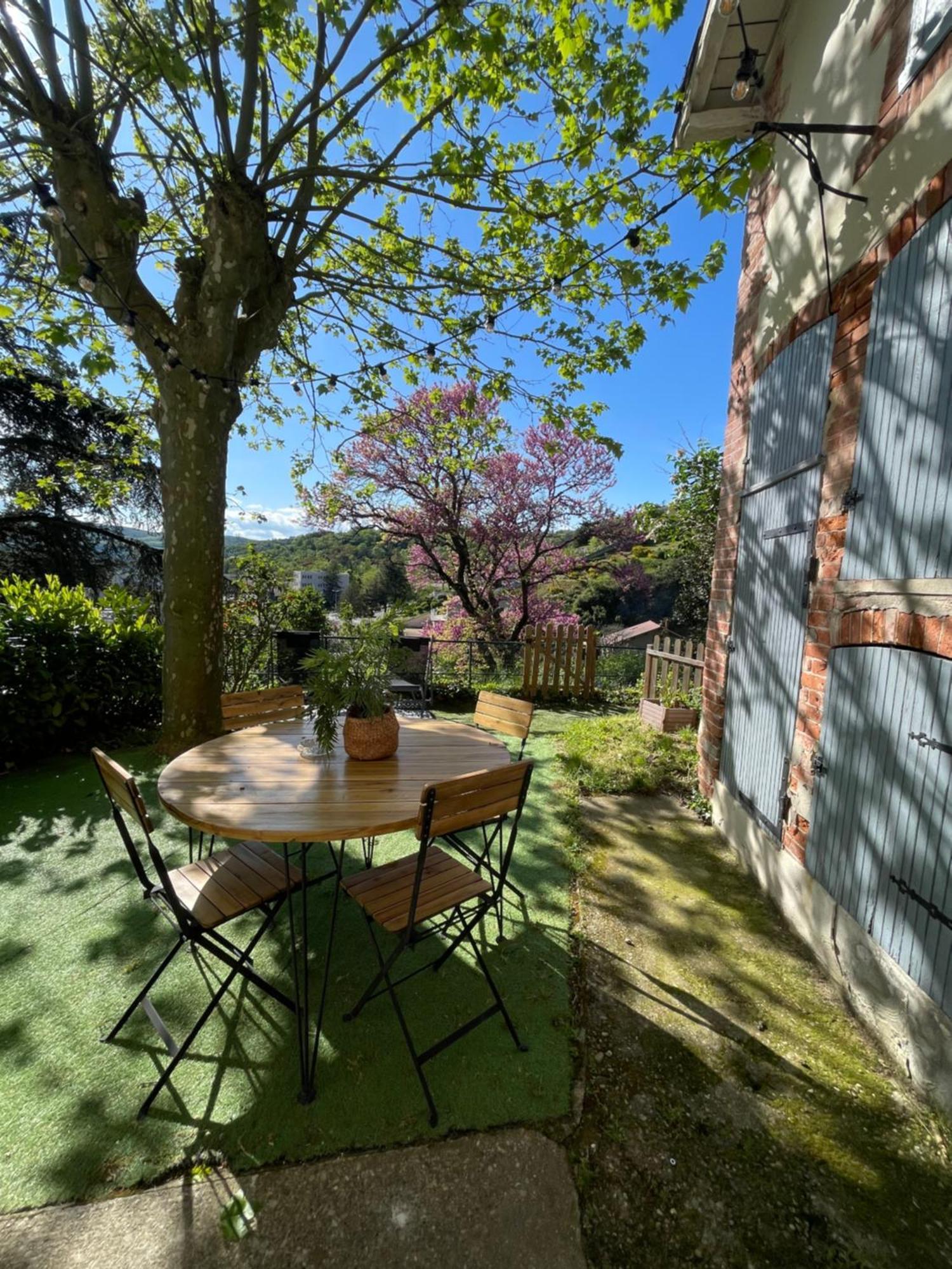 Charmante maison à Vienne avec jardin, prox Lyon Exterior foto