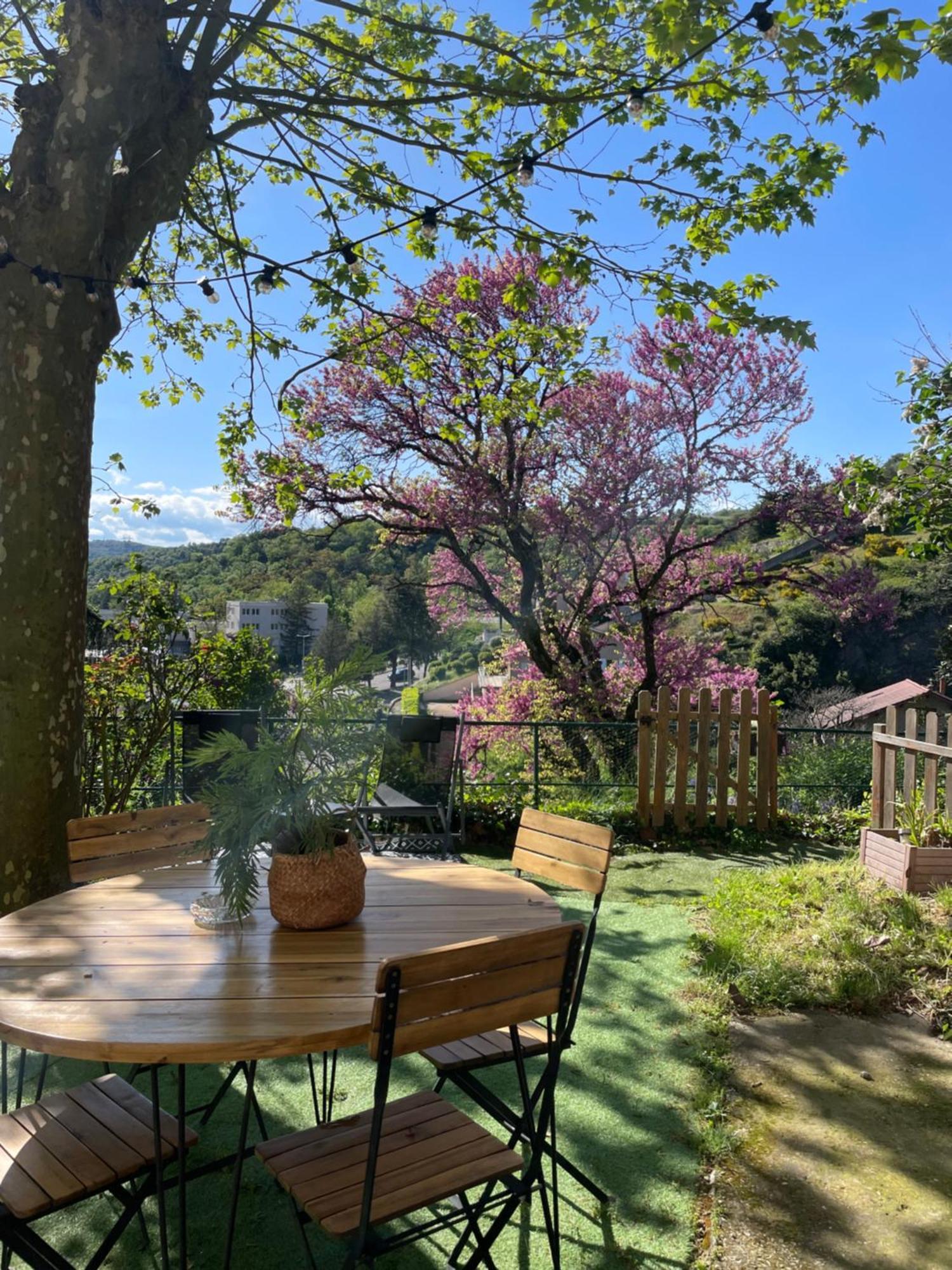 Charmante maison à Vienne avec jardin, prox Lyon Exterior foto