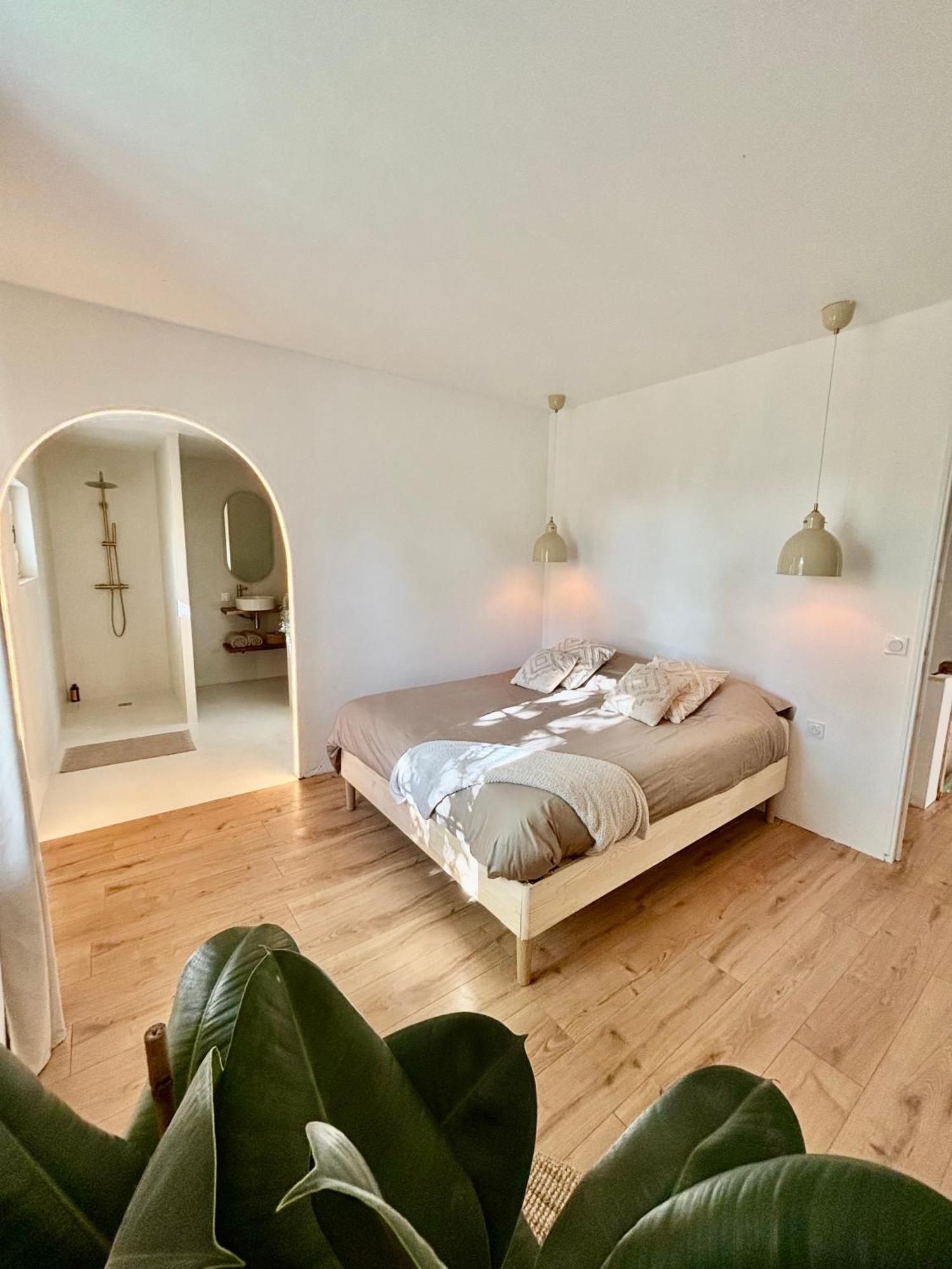 Charmante maison à Vienne avec jardin, prox Lyon Exterior foto